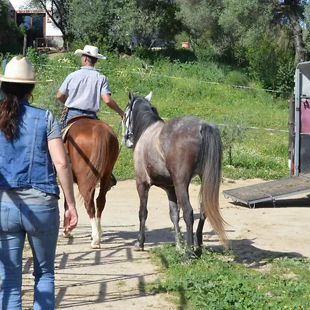 Rustica En Un Rancho Con Caballos, Prado Del Rey, Andalucia Кемпинг Прадо-дель-Рей
